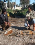 Bodrum'da vahşet