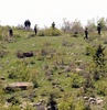 Mardin’de patlama: 1 ölü
