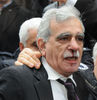 Ahmet Türk’e atılan yumruÄŸun cezası