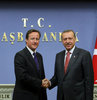 Erdoğan ve Cameron'dan samimi toplantı - VİDEO