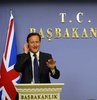 Cameron, Türkiye'nin AB isteğini kontrol etti