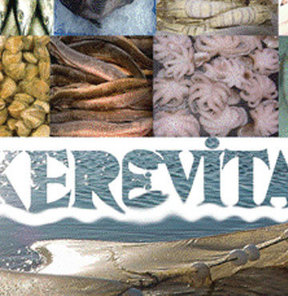 Kerevitaş Avcılar kompleksini satışa çıkardı