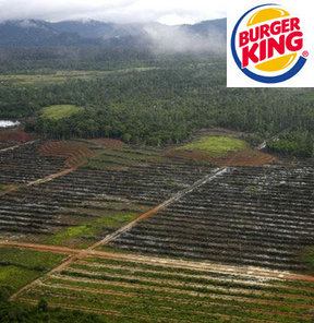 Burger King'den çevreci tepki