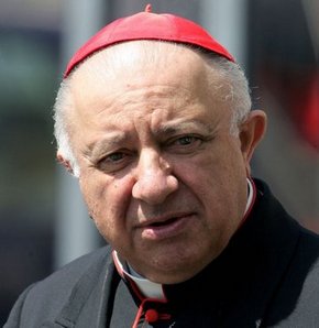 Kardinal cami istedi 