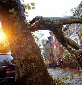New York'ta fırtına can aldı