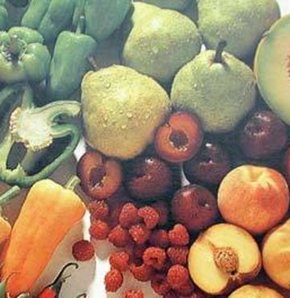 Annenin beslenmesi embriyonun gelişiminde etkili