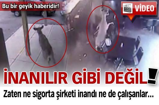 İnanılır gibi değil! 