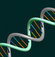 Dumanı bile DNA'ya zarar veriyor!
