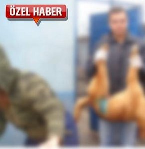 Hayvan Barınağı'nda kan donduran görüntü!