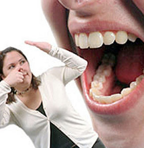 597528_detay.jpg