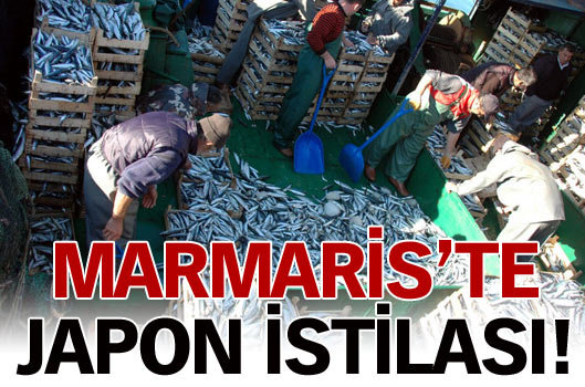 Marmaris'te Japon istilası!