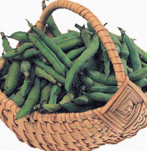 599248_detay.jpg