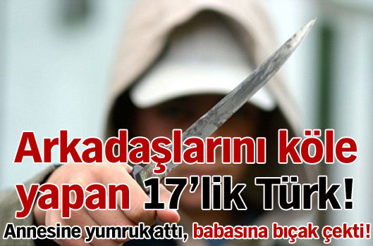 Terör estiren 17 yaşındaki Türk genci tutuklandı. 