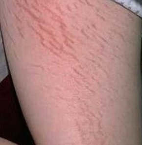 607208_detay.jpg