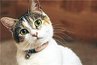 Erken uyarı sistemi