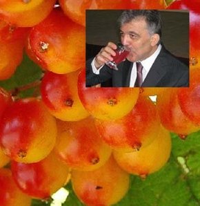 620828_detay.jpg