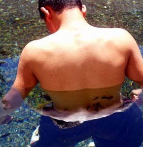 627724_detay.jpg