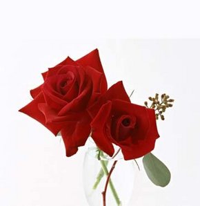 649556_detay.jpg