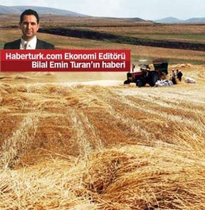 tarım arazilerine hücum
