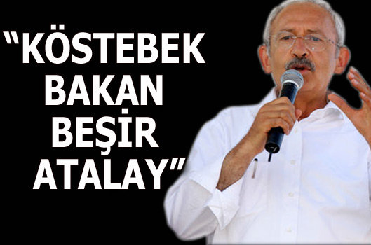 K�stebek bakan� a��klad�!