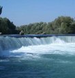 Orman