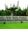 Türk üniversitelerinin büyük başarısı