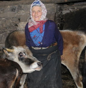 697637_detay.jpg