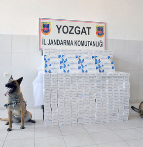 Sigara kaçakçılarına 'köpekli' operasyon