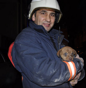 gungor sipahioglu