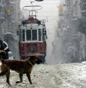 İstanbul’da kar başladı! 