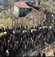 Uludere'de yakınlarını kaybedenler kaçak sigarayla yakalandı