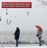Soğuklar öldürebilir