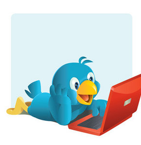 twitter, popüler, takipçi arttırma