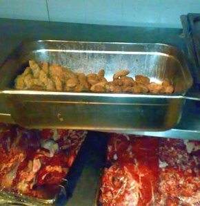 Sakarya Eğitim ve Araştırma Hastanesi, Sakarya Sağlık Müdürlüğü, hastane, yemek, bozuk, gıda 