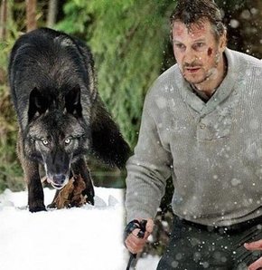 Liam Neeson kurt yedi