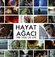 Oscar adaylarına şipşak