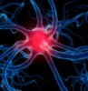 Parkinson'la vedalaşmaya başlayın!