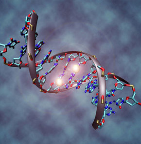 AIDS HIV DNA spesifik bir dizilime sahip molekül Teksas Üniversitesi