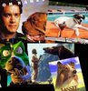 Oscarlık ''dört ayaklı'' oyuncular GALERİ