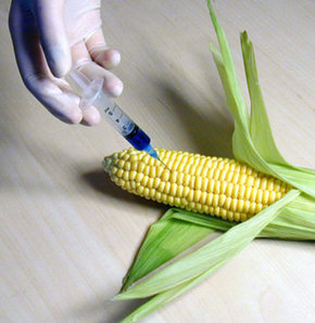 GDO Antibiyotik 