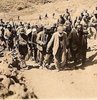 Dersim iade-i itibar istiyor