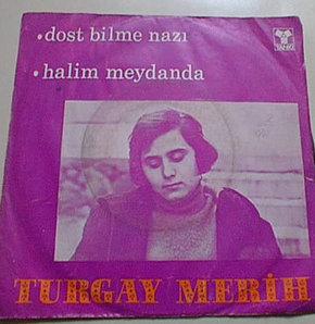 Müzisyen Turgay Merih vefat etti