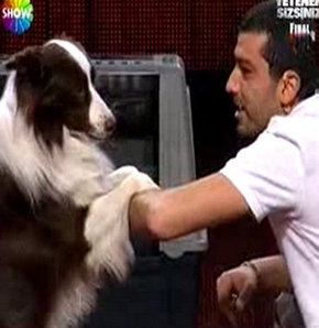 Aklıllı Köpek Max Yetenek Sizsiniz Türkiye'nin birincisi oldu