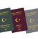 "Hizmet verecek Türk işadamlarına vize sorulamaz"
