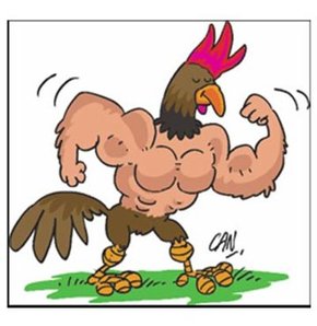 Sağlıklı diye yediğimiz tavuklar kanser mi yapıyor?