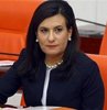 ‘Darbe komisyonunda darbe'
