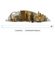 Google'dan Howard Carter'a özel logo