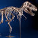 Asyalı T-Rex'e milyon dolar