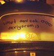 Arac�n�n