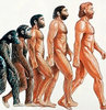 Paleoantropolog